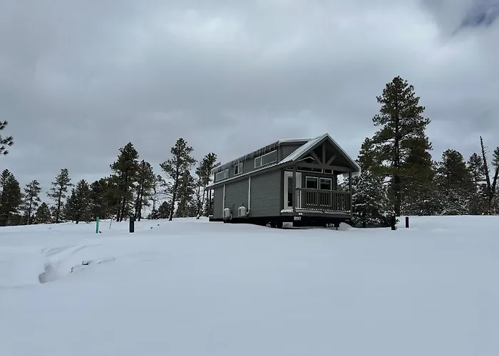 Cozy Cabin By Forest View 4B